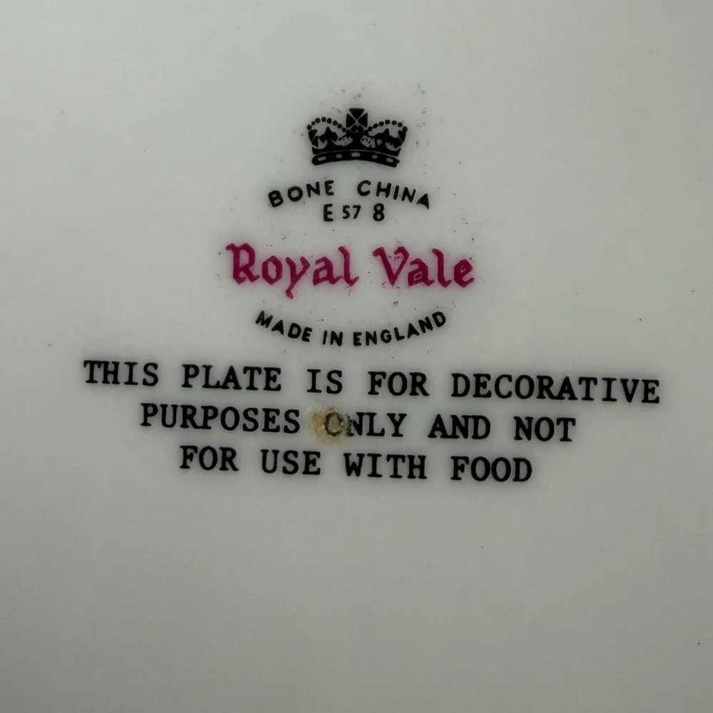 Royal‎ Vale Bone China Kingfisher Bird Decorative Plate E578 Made in England 6